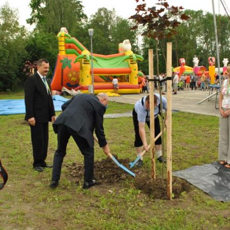 Wyświetl org. rozmiar
