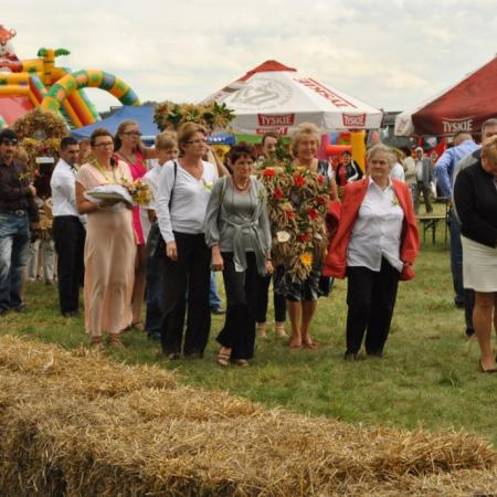 Wyświetl org. rozmiar