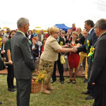 Wyświetl org. rozmiar