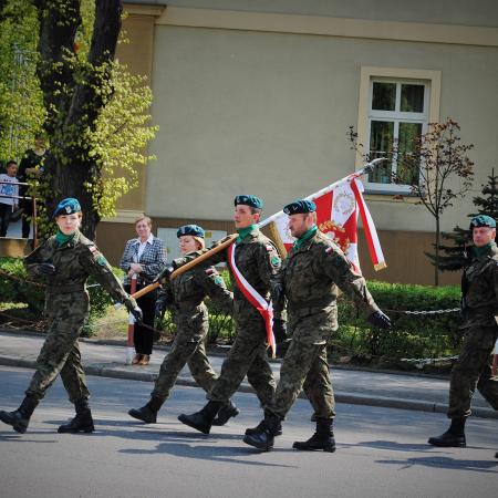 Wyświetl org. rozmiar