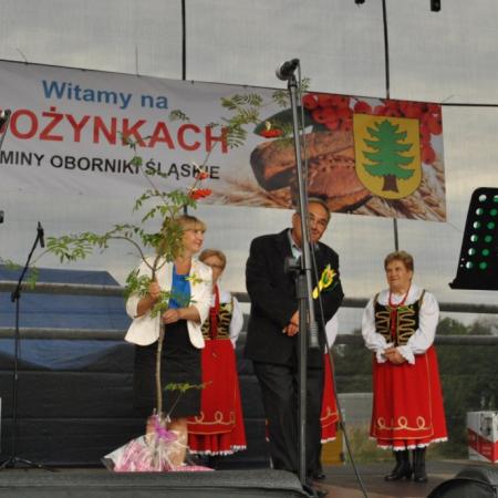 Wyświetl org. rozmiar