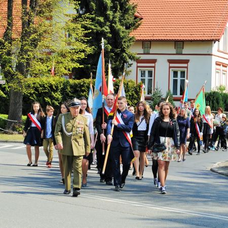 Wyświetl org. rozmiar