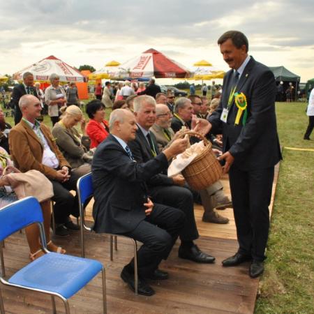 Wyświetl org. rozmiar