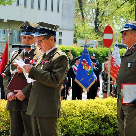 Wyświetl org. rozmiar