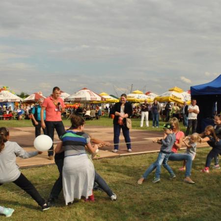 Wyświetl org. rozmiar