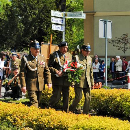 Wyświetl org. rozmiar