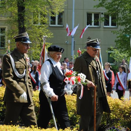 Wyświetl org. rozmiar