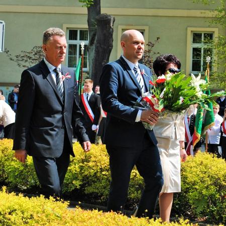 Wyświetl org. rozmiar