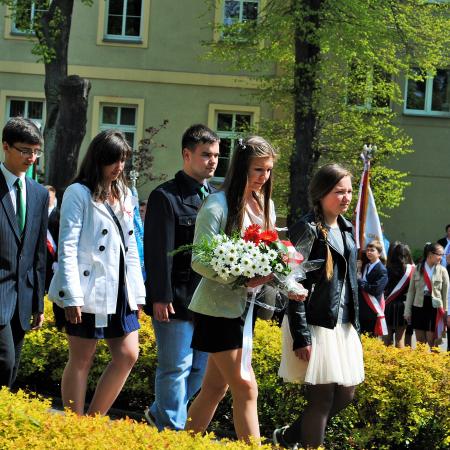 Wyświetl org. rozmiar