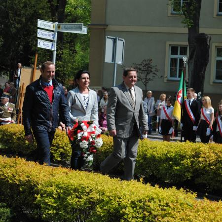 Wyświetl org. rozmiar