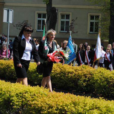 Wyświetl org. rozmiar