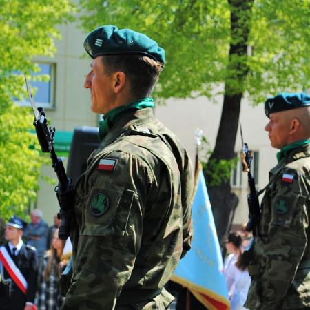 Wyświetl org. rozmiar