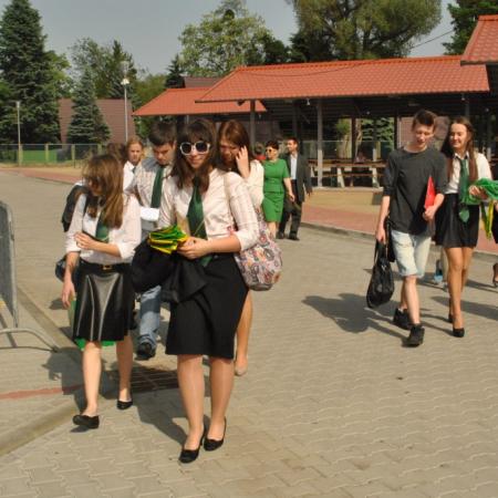 Wyświetl org. rozmiar