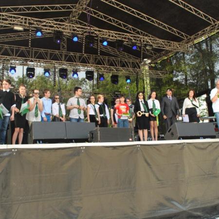 Wyświetl org. rozmiar