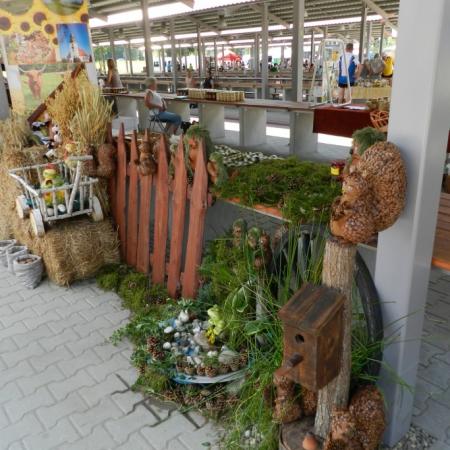 Wyświetl org. rozmiar