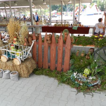 Wyświetl org. rozmiar