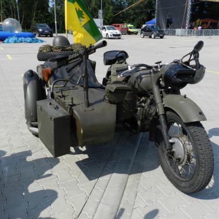 Wyświetl org. rozmiar