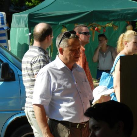 Wyświetl org. rozmiar