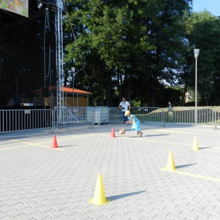 Wyświetl org. rozmiar