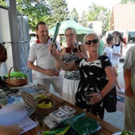 Wyświetl org. rozmiar