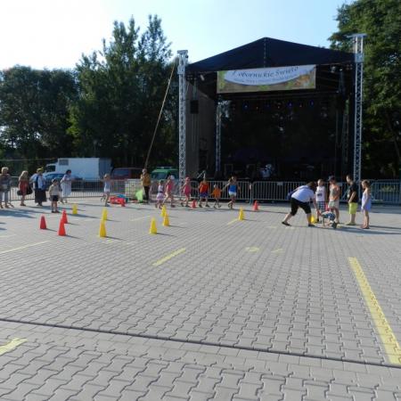 Wyświetl org. rozmiar