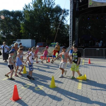 Wyświetl org. rozmiar