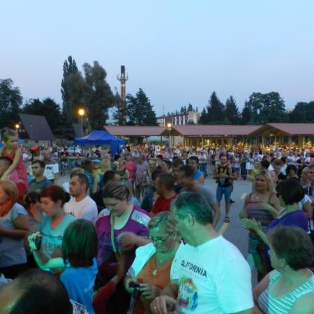 Wyświetl org. rozmiar