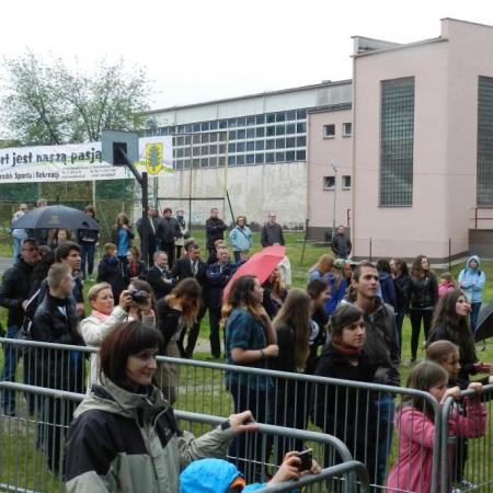 Wyświetl org. rozmiar