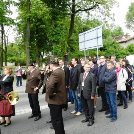 Wyświetl org. rozmiar