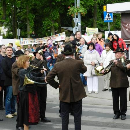 Wyświetl org. rozmiar