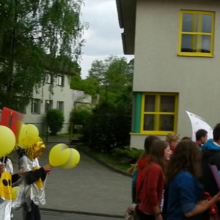 Wyświetl org. rozmiar