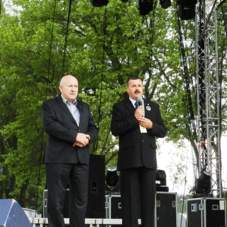 Wyświetl org. rozmiar