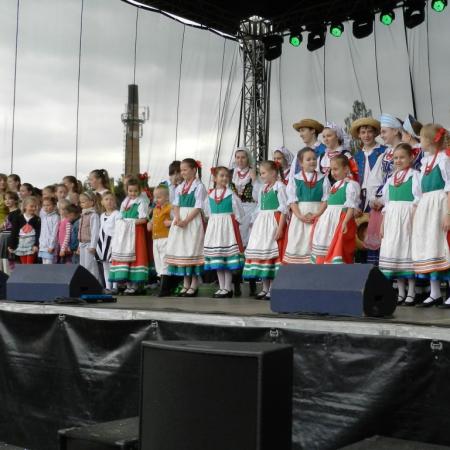 Wyświetl org. rozmiar