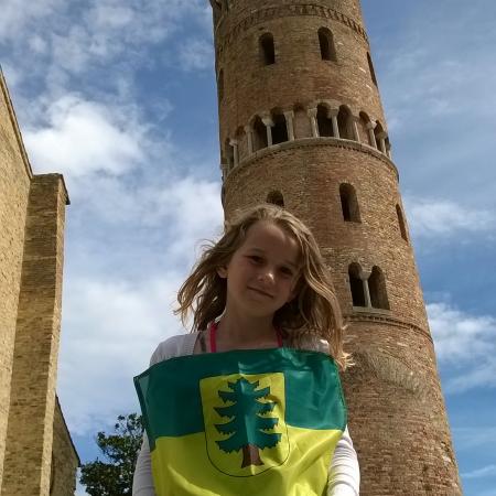 Wyświetl org. rozmiar