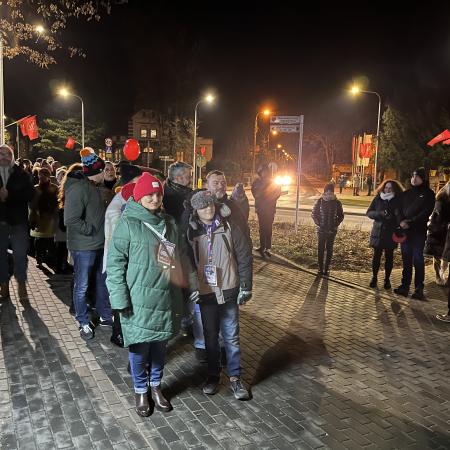 Wyświetl org. rozmiar