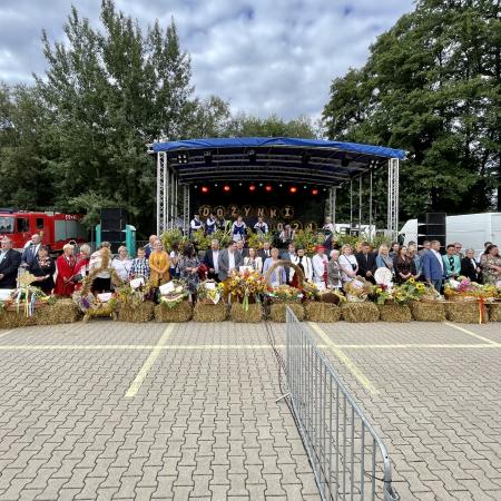 Wyświetl org. rozmiar
