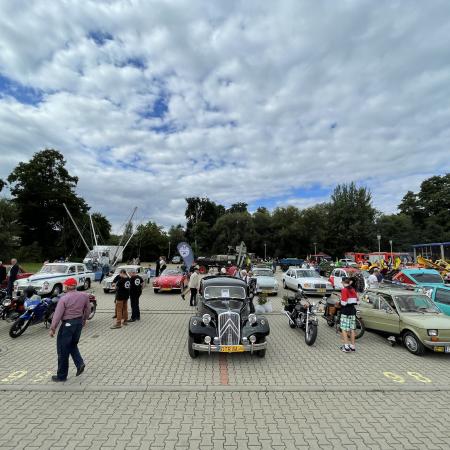 Wyświetl org. rozmiar