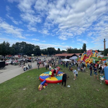 Wyświetl org. rozmiar