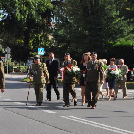 Wyświetl org. rozmiar