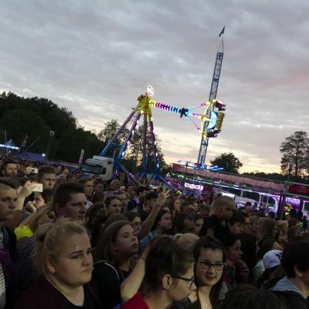 Wyświetl org. rozmiar