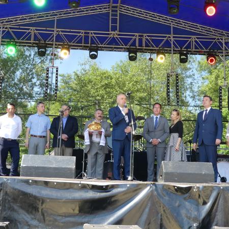 Wyświetl org. rozmiar