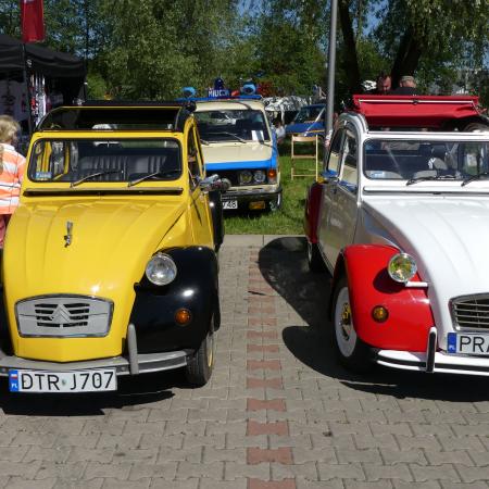 Wyświetl org. rozmiar