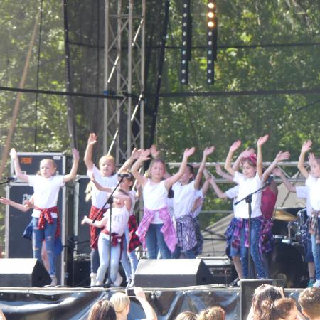 Wyświetl org. rozmiar