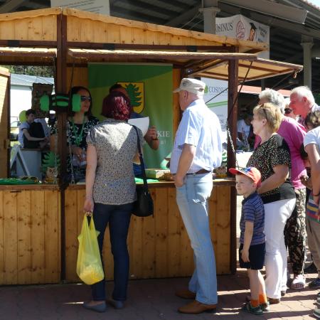 Wyświetl org. rozmiar