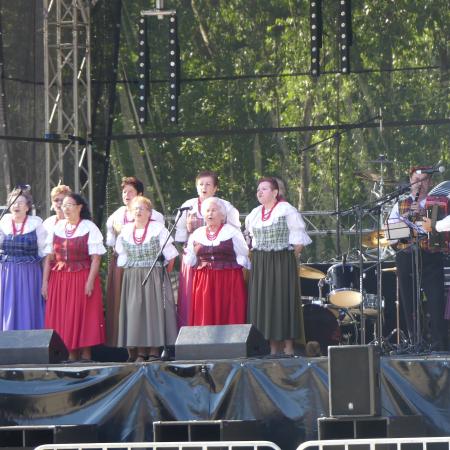 Wyświetl org. rozmiar
