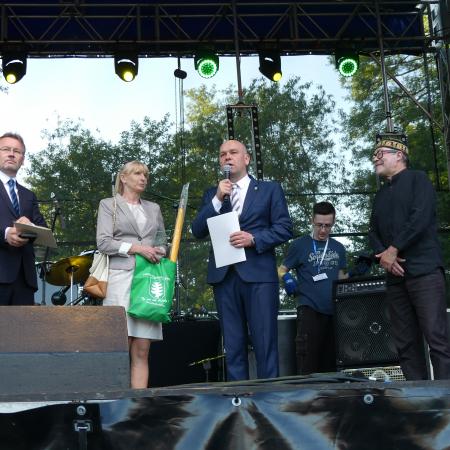 Wyświetl org. rozmiar