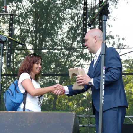Wyświetl org. rozmiar