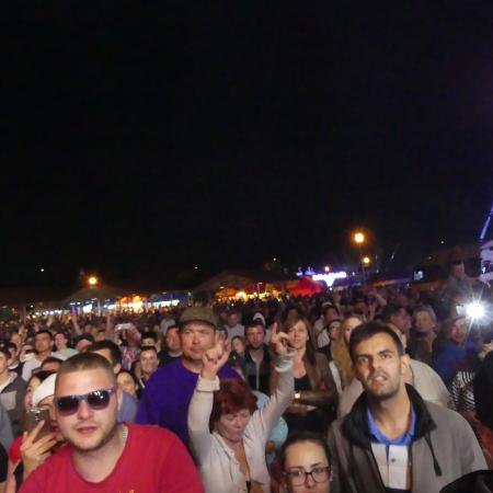 Wyświetl org. rozmiar