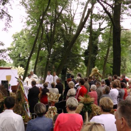 Wyświetl org. rozmiar