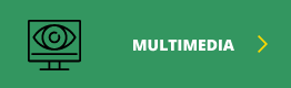 Multimedia